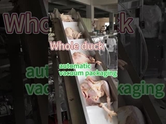 آلة تغليف الأغذية المجمدة لللحوم الصف الغذائي من الفولاذ المقاوم للصدأ 304/316